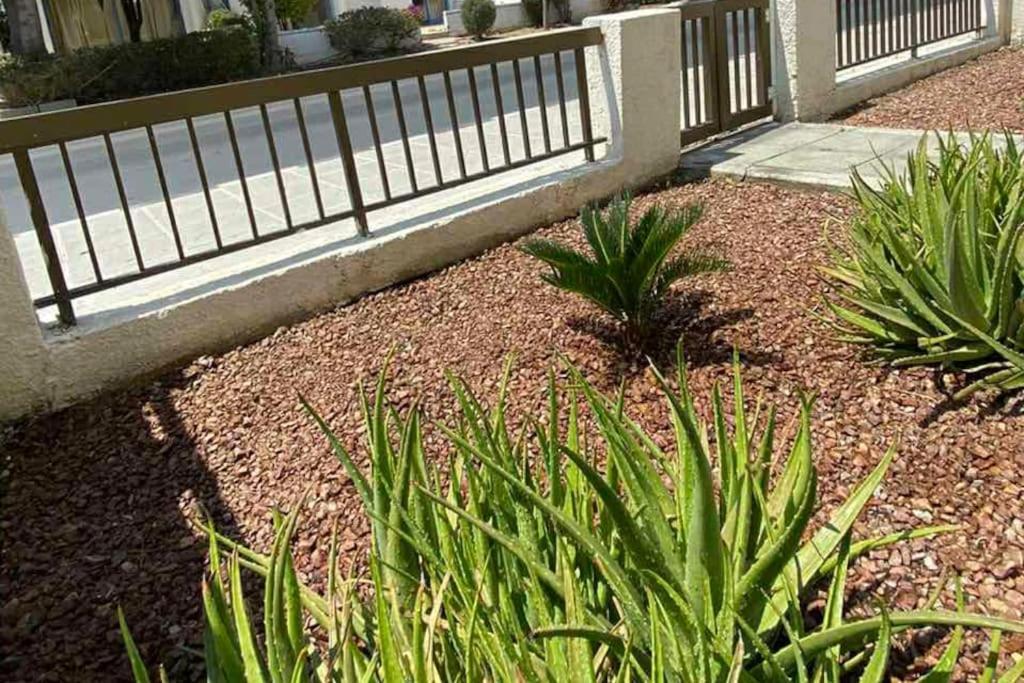 דירות Paphos Dalia 9 מראה חיצוני תמונה